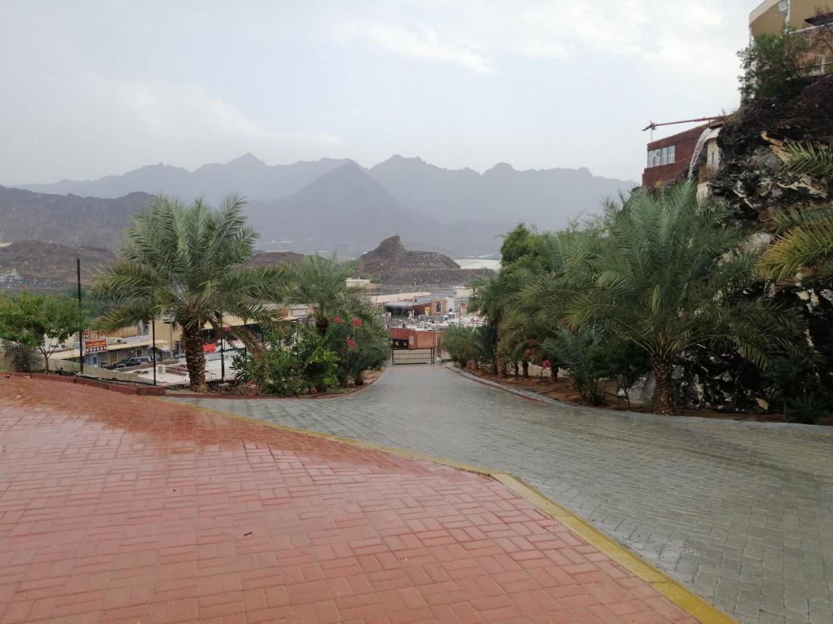 The Mountain Terrace *